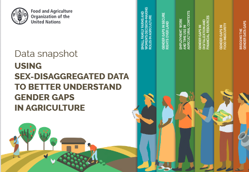 Data Snapshot Using Sex Disaggregated Data To Better Understand Gender Gaps In Agriculture